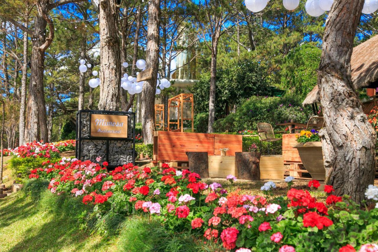 Ttc Dreamy Hill Resort - Unlimited Access To Ttc World - Thung Lung Tinh Yeu Dalat Exterior foto