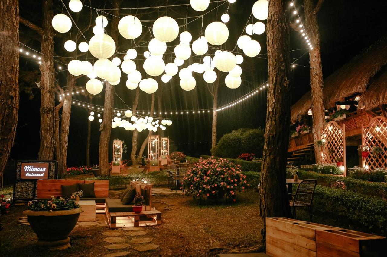 Ttc Dreamy Hill Resort - Unlimited Access To Ttc World - Thung Lung Tinh Yeu Dalat Exterior foto